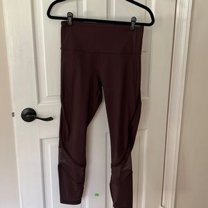 Lu Lu Lemon dark chocolate tights